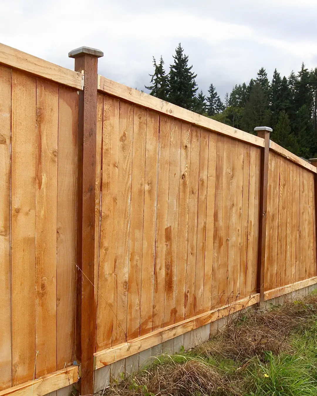 Closeboard Fencing